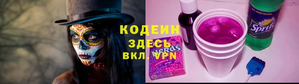 шишки Балахна